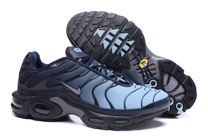 nike tn bleu noir